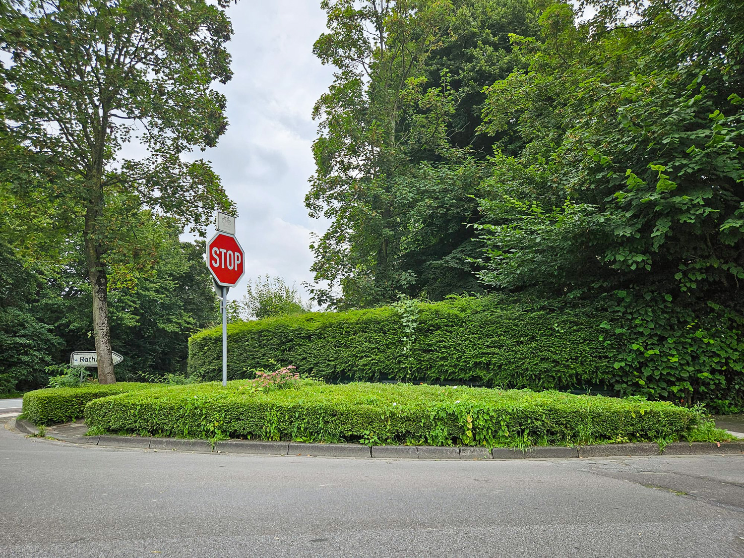 naturawall in Laer Nordrhein-Westfalen